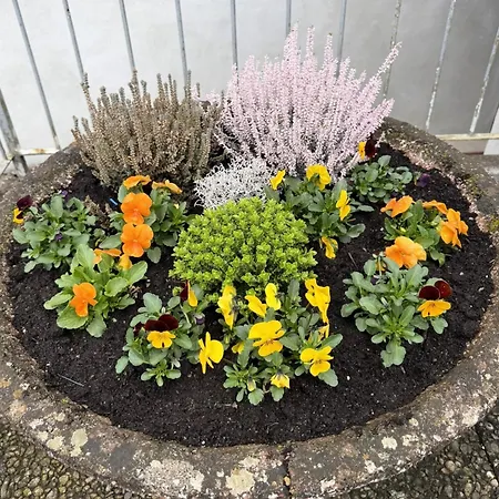 Apartment Feines Mit Balkon&terrasse In Ruhiger Gegend Schlitz