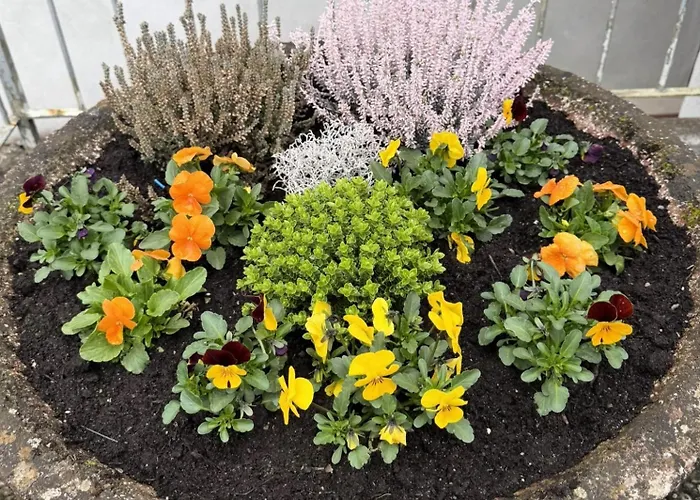 Apartman Feines Mit Balkon & Terrasse In Ruhiger Gegend Schlitz