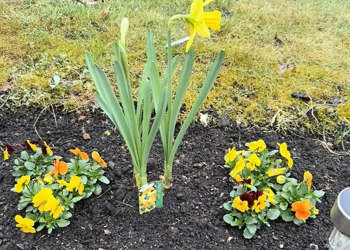 Apartman Feines Mit Balkon & Terrasse In Ruhiger Gegend